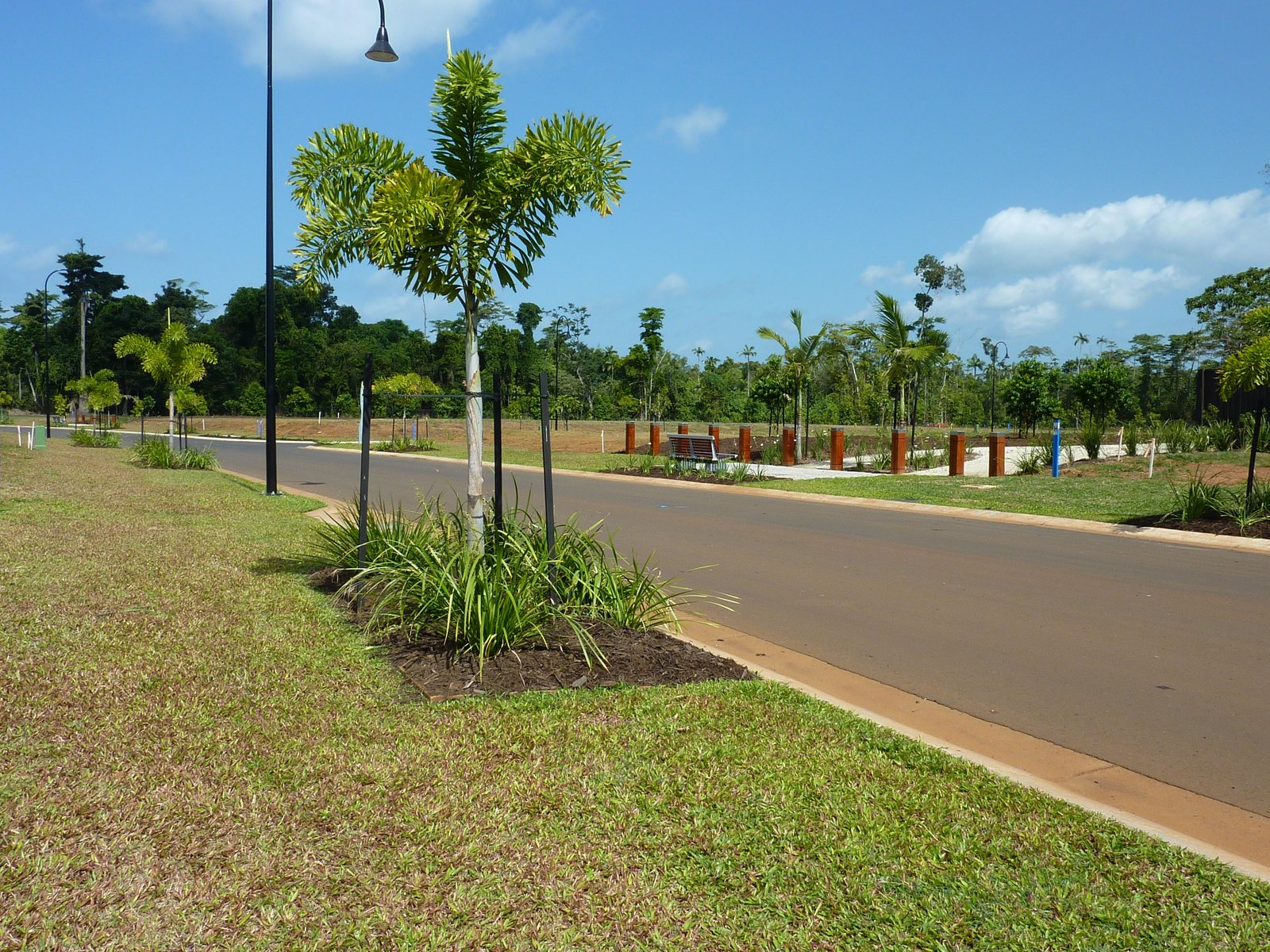 Oasis, Mission Beach, QLD — the finished street and landscaping